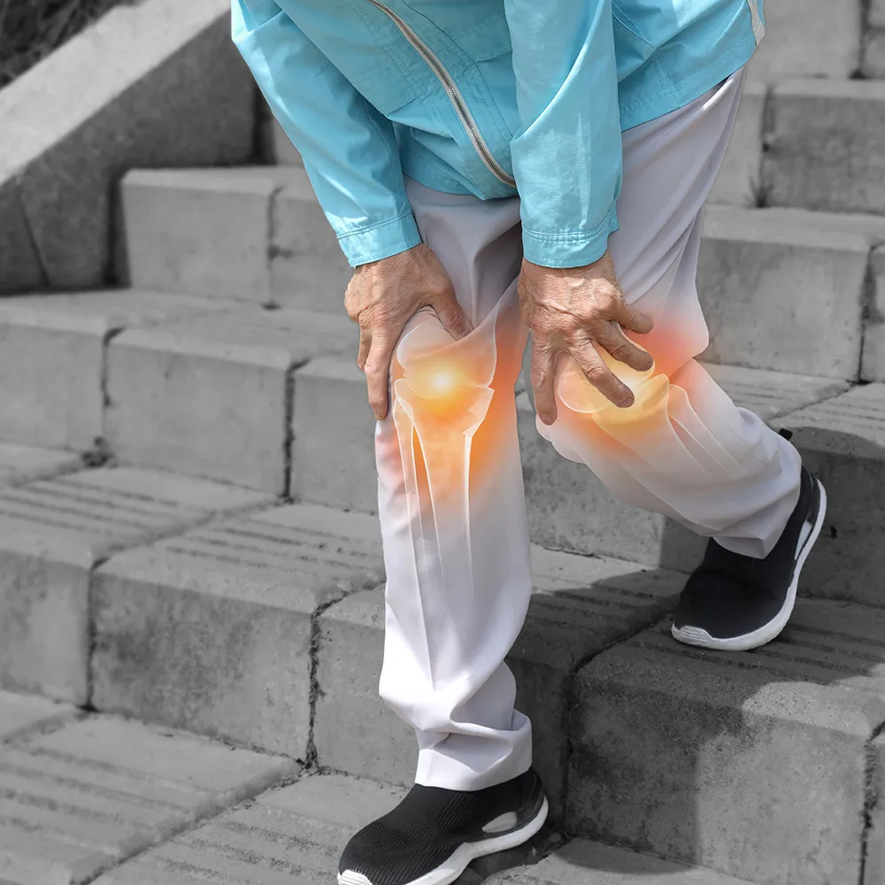 Doctor pointing to a knee joint model.