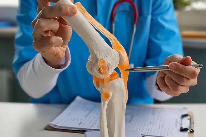 Doctor showing knee anatomy illustration  