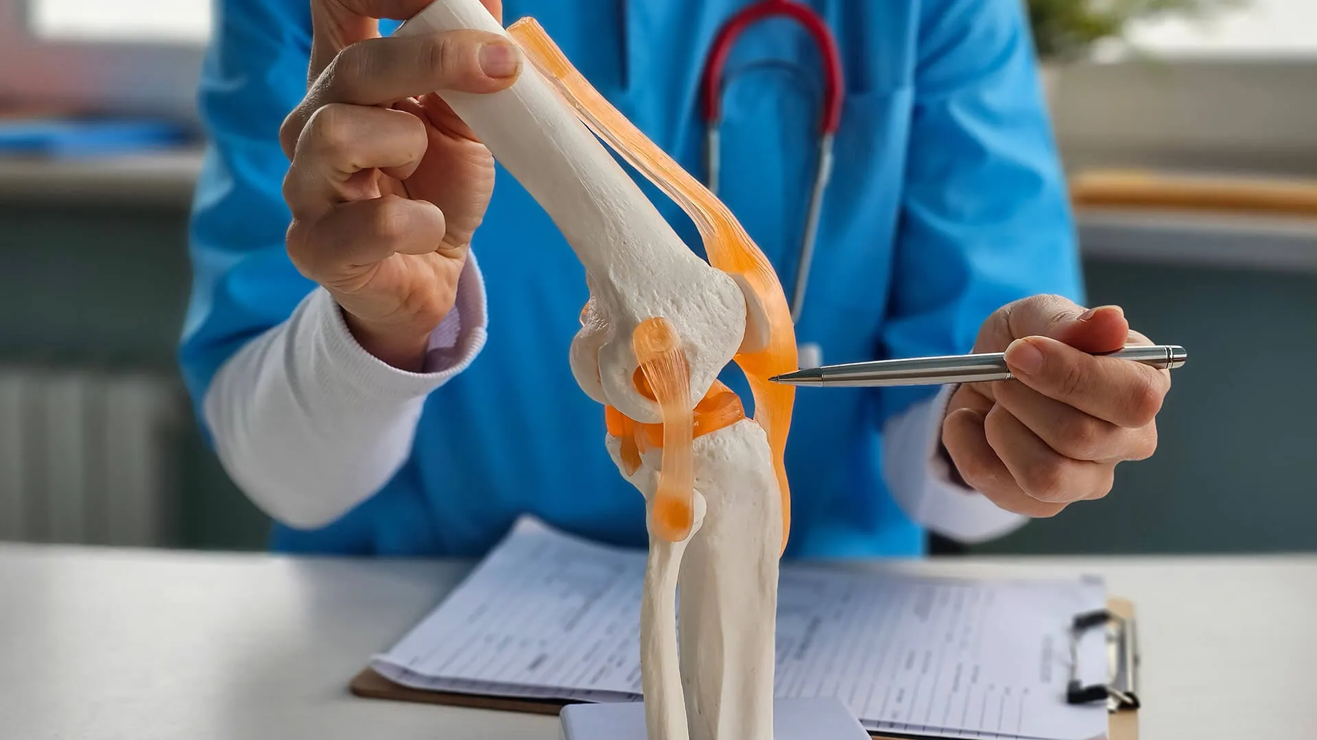 Doctor showing what the inside of the knee would look like.