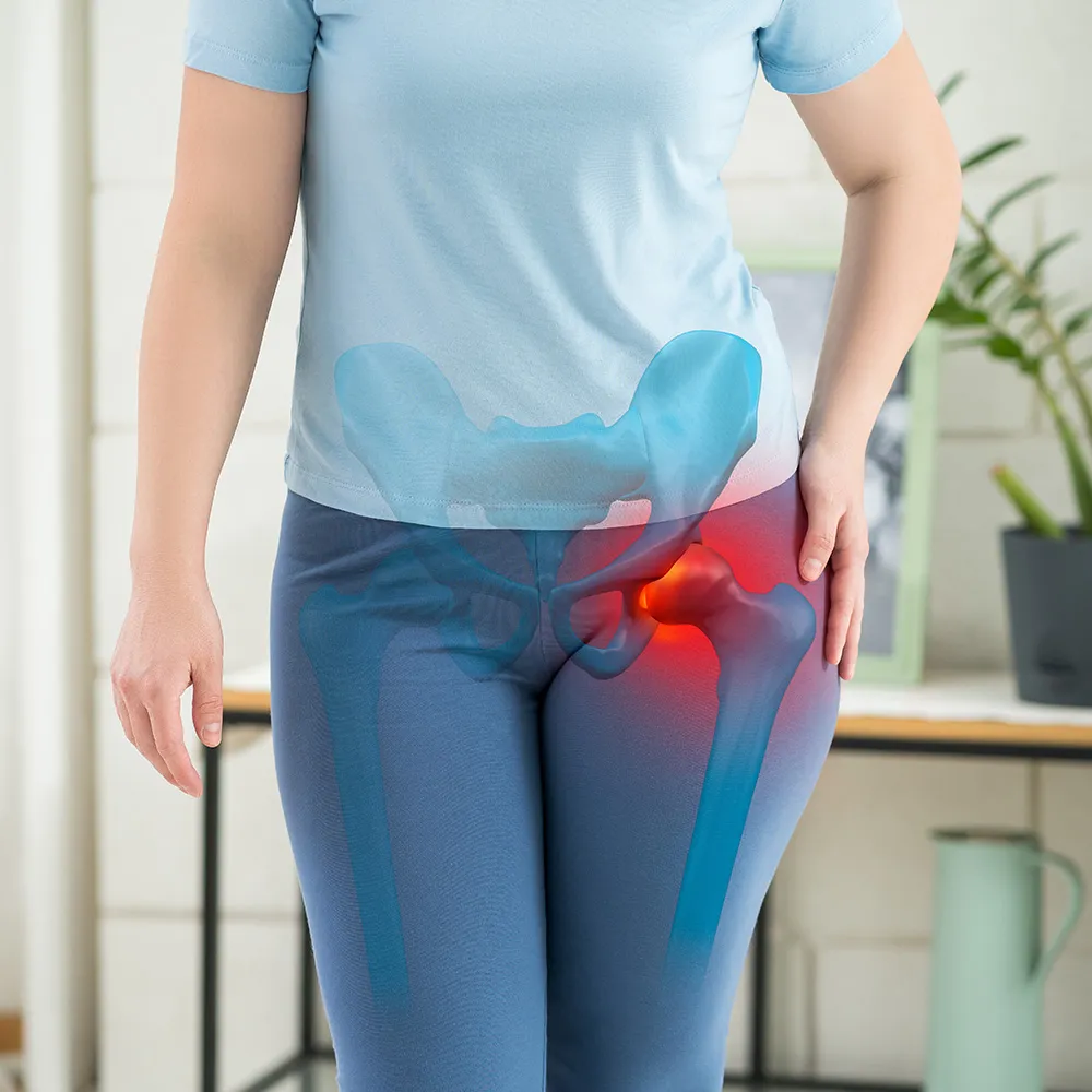 An anatomical illustration showing hip pain.