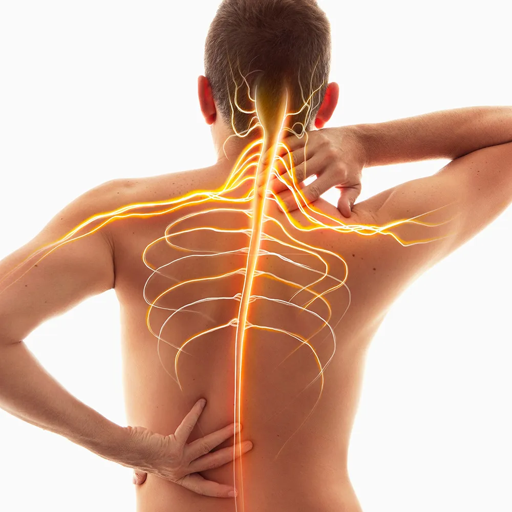 Man's back with pain in the spinal nerves