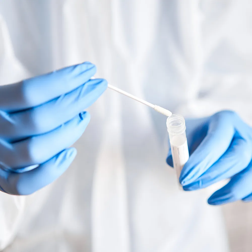 Gloved hands holding a swab and a test tube for a medical test.